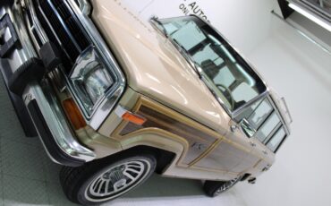 Jeep-Grand-Wagoneer-1989-SUV-12