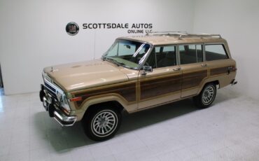 Jeep-Grand-Wagoneer-1989-SUV-15