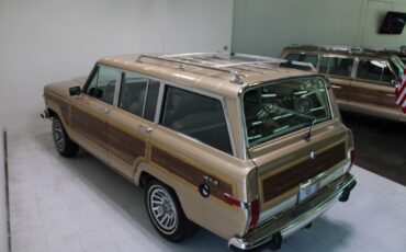 Jeep-Grand-Wagoneer-1989-SUV-19