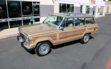 Jeep-Grand-Wagoneer-1990-SUV-11