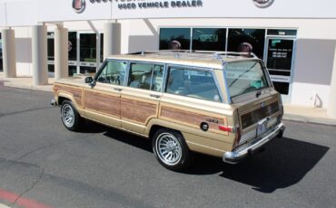 Jeep-Grand-Wagoneer-1990-SUV-13