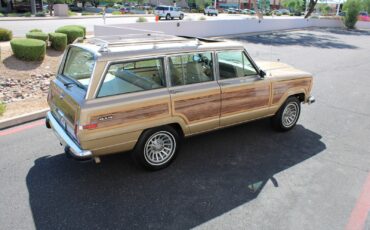 Jeep-Grand-Wagoneer-1990-SUV-15
