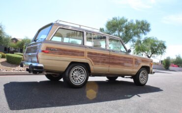 Jeep-Grand-Wagoneer-1990-SUV-16