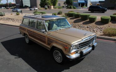 Jeep-Grand-Wagoneer-1990-SUV-17