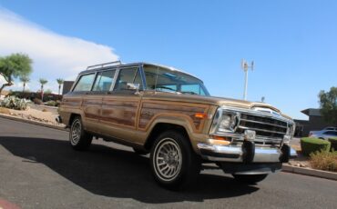 Jeep-Grand-Wagoneer-1990-SUV-18