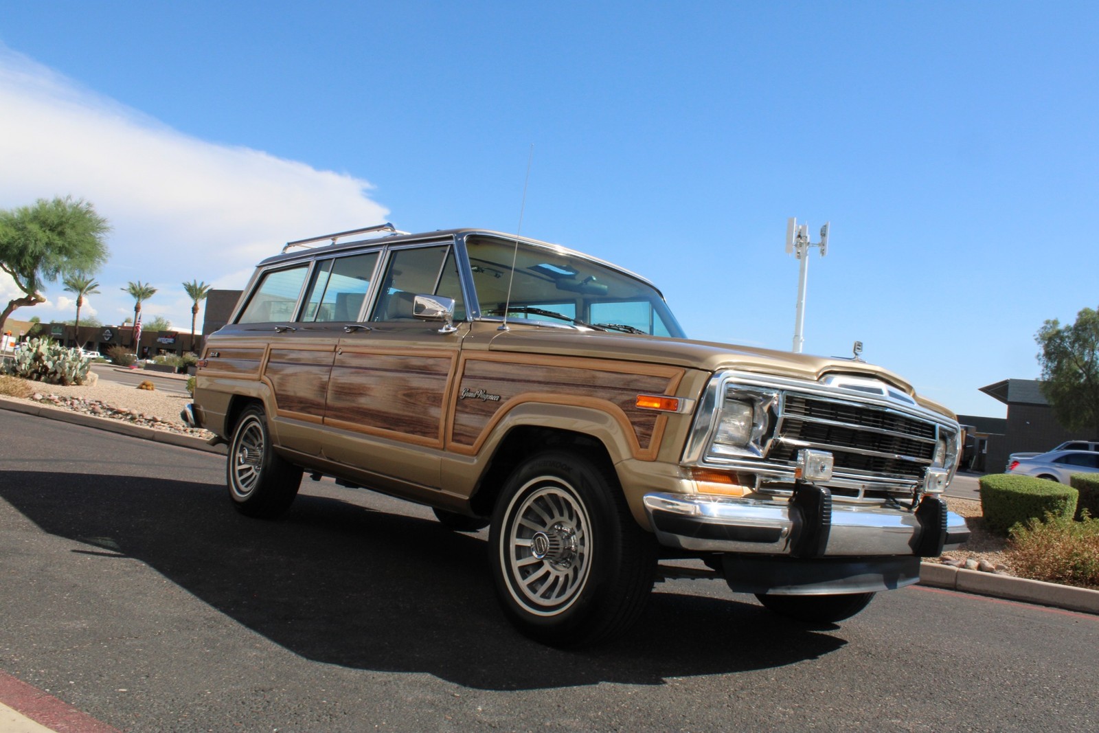 Jeep-Grand-Wagoneer-1990-SUV-18