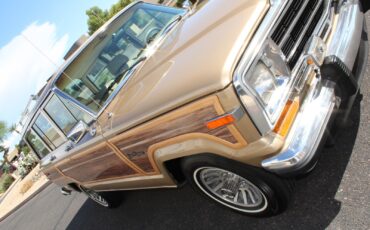 Jeep-Grand-Wagoneer-1990-SUV-19