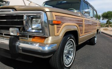 Jeep-Grand-Wagoneer-1990-SUV-22