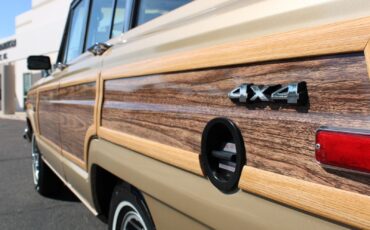 Jeep-Grand-Wagoneer-1990-SUV-29