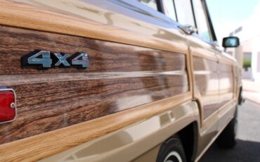 Jeep-Grand-Wagoneer-1990-SUV-30
