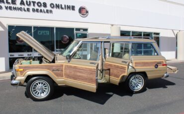 Jeep-Grand-Wagoneer-1990-SUV-31