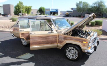 Jeep-Grand-Wagoneer-1990-SUV-34