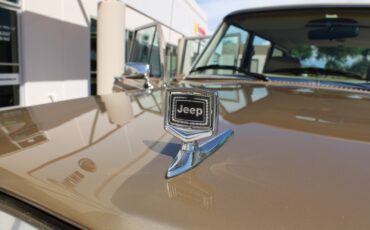 Jeep-Grand-Wagoneer-1990-SUV-35