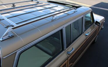 Jeep-Grand-Wagoneer-1990-SUV-39