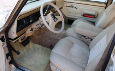 Jeep-Grand-Wagoneer-1990-SUV-5