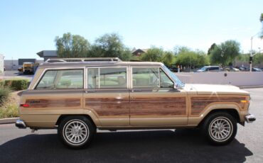 Jeep-Grand-Wagoneer-1990-SUV-8
