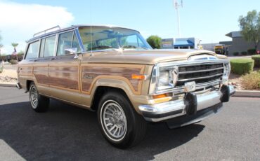Jeep-Grand-Wagoneer-1990-SUV-9