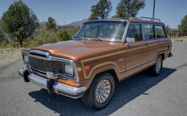 Jeep-Grand-wagoneer-1985-Sand-Tan-10
