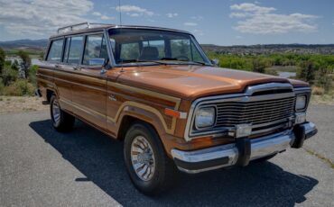 Jeep-Grand-wagoneer-1985-Sand-Tan-16