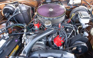 Jeep-Grand-wagoneer-1985-Sand-Tan-29