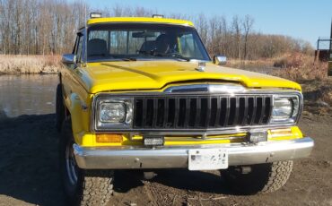 Jeep-J10-1984-Standard-Cab-Pickup-6