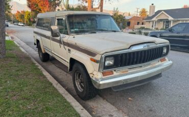 Jeep-J10-1985-Standard-Cab-Pickup-8