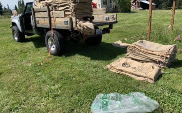 Jeep-Jeep-Truck-1984-12