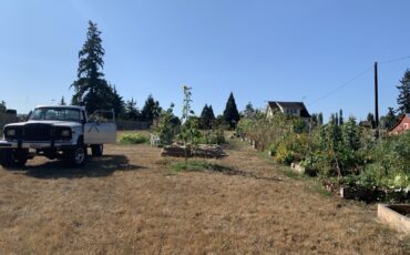 Jeep-Jeep-Truck-1984-13