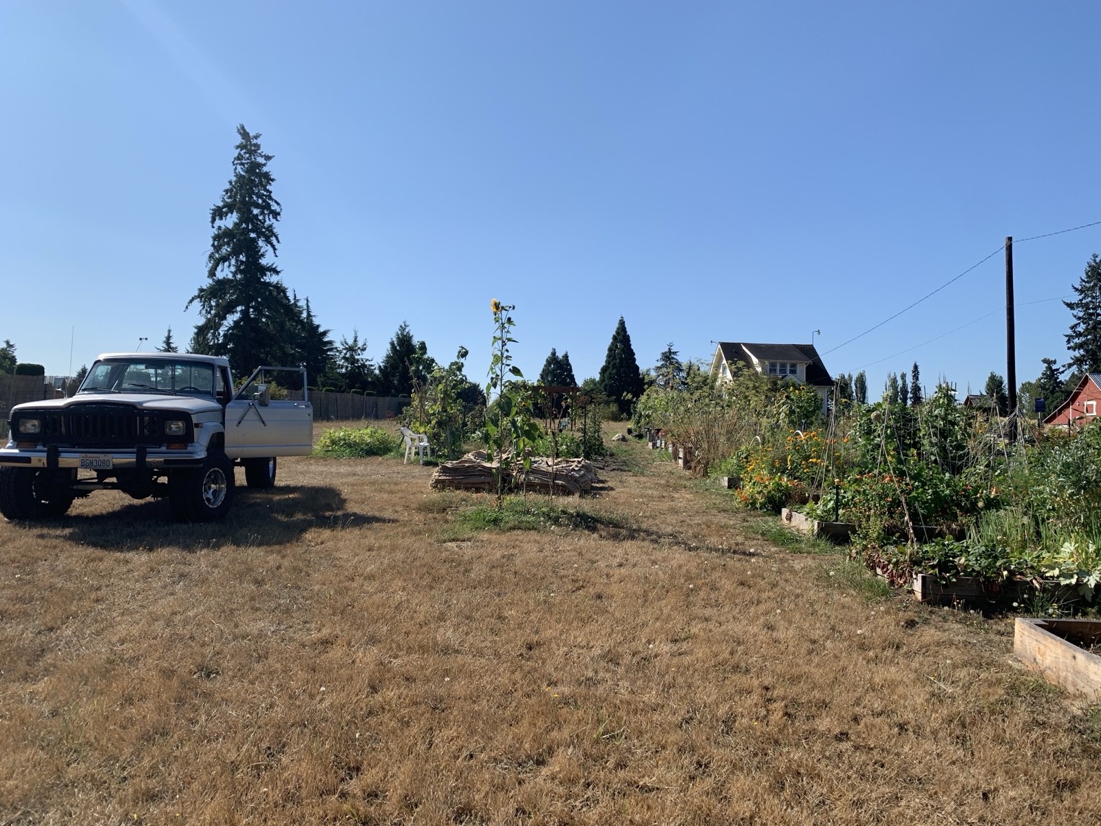 Jeep-Jeep-Truck-1984-13