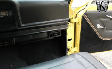 Jeep-Wagoneer-1976-other-20