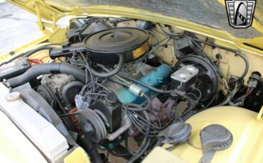 Jeep-Wagoneer-1976-other-23