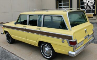 Jeep-Wagoneer-1976-other-38