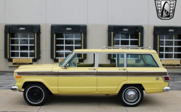 Jeep-Wagoneer-1976-other-39