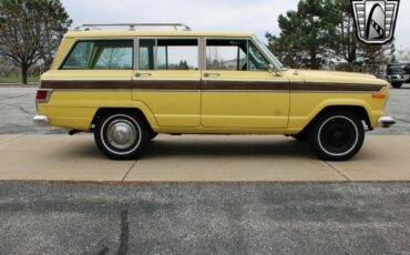 Jeep-Wagoneer-1976-other-4