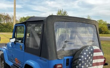 Jeep-Wrangler-1989-SUV-10