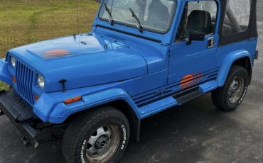 Jeep-Wrangler-1989-SUV-8