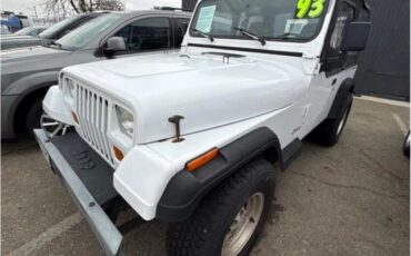 Jeep-Wrangler-1993-SUV-2