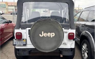 Jeep-Wrangler-1993-SUV-5