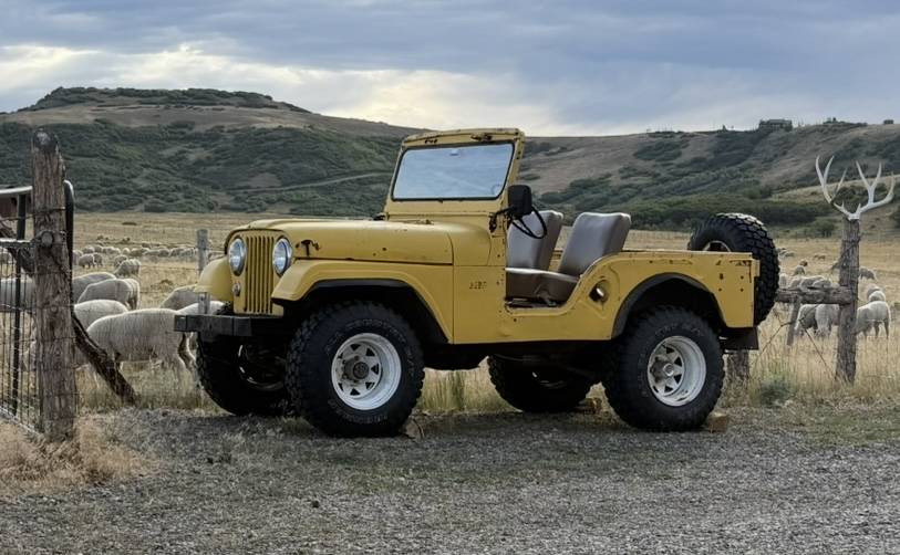 Jeep-cj-5-1951-yellow-1