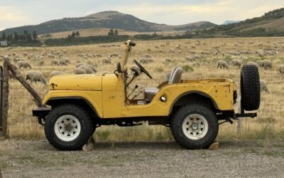Jeep cj-5 1951