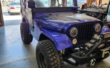 Jeep-cj5-1969-custom-5