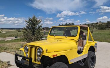 Jeep-cj5-1976-yellow-2