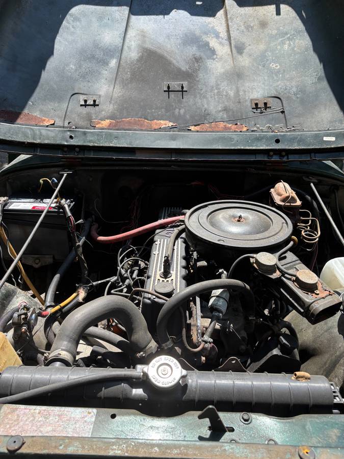 Jeep-cj7-1981-green-3