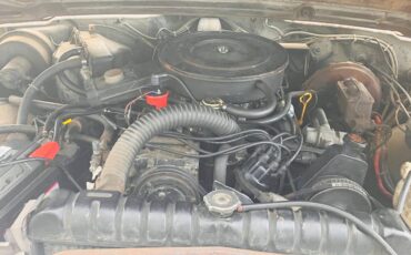 Jeep-grand-wagoneer-1978-5