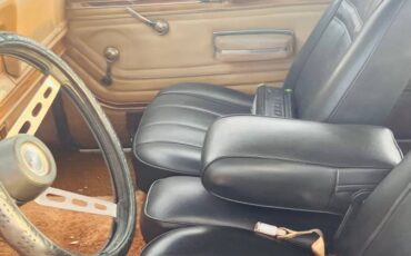 Jeep-grand-wagoneer-1978-6