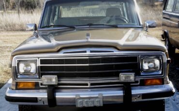 Jeep-grand-wagoneer-1987-custom-12