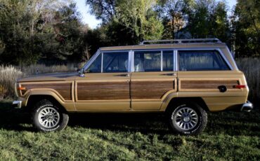 Jeep-grand-wagoneer-1987-custom-4