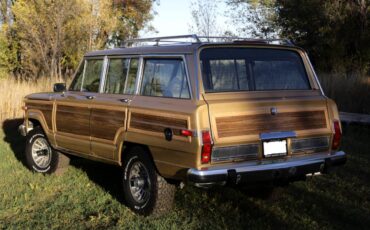 Jeep-grand-wagoneer-1987-custom-7
