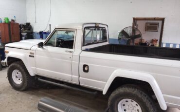 Jeep-j10-lardedo-1983-white-2