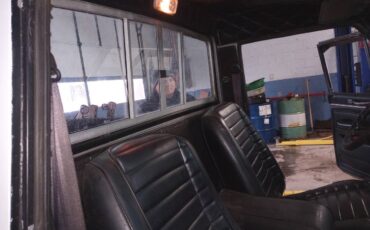 Jeep-j10-lardedo-1983-white-7